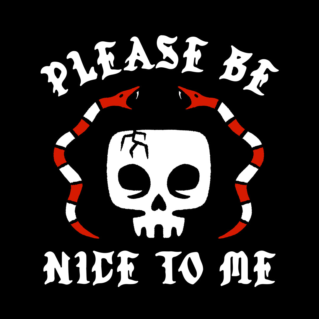 "Please Be Nice To Me" Shirt